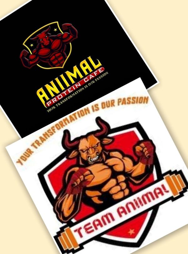 Marketing strategies of a fitness brand "Team animal and Animal protein cafe"